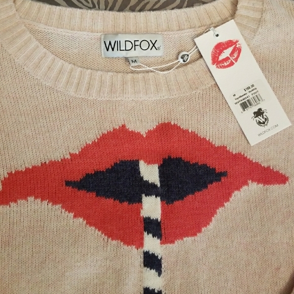 Wildfox Sweaters - Wildfox sweater